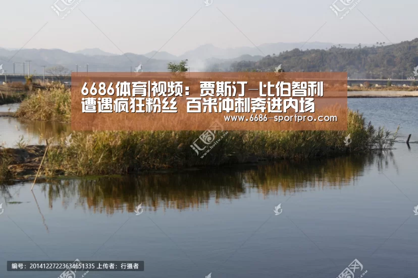 6686官网