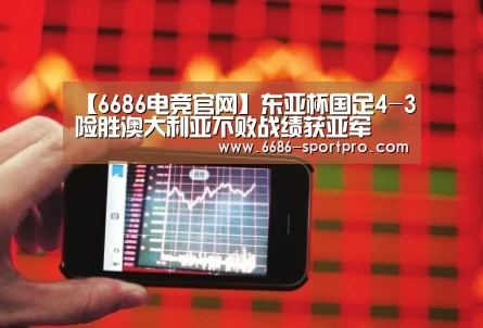6686登录入口