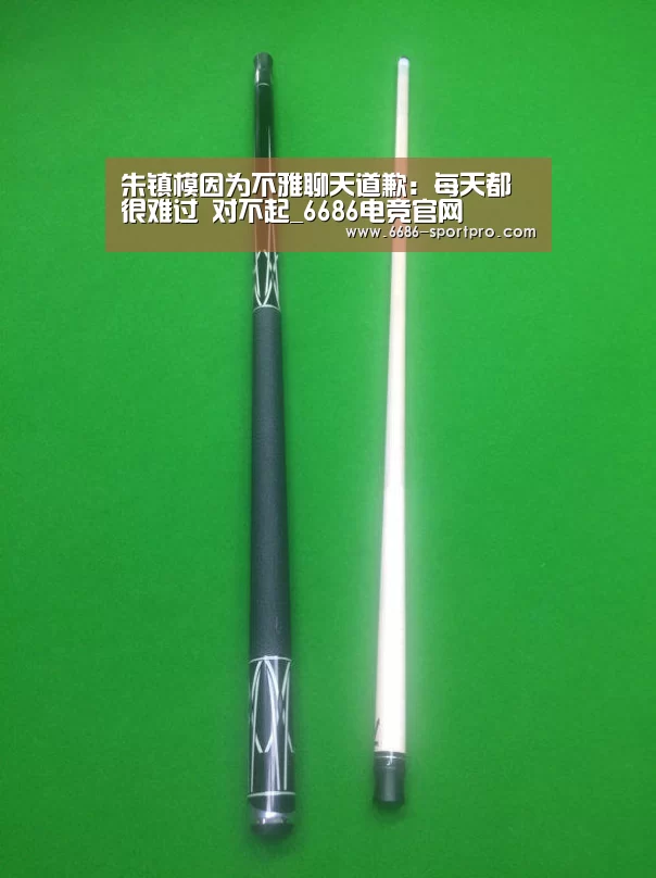 朱镇模因为不雅聊天道歉:每天都很难过 对不起_6686电竞官网(图1) 6686体育
