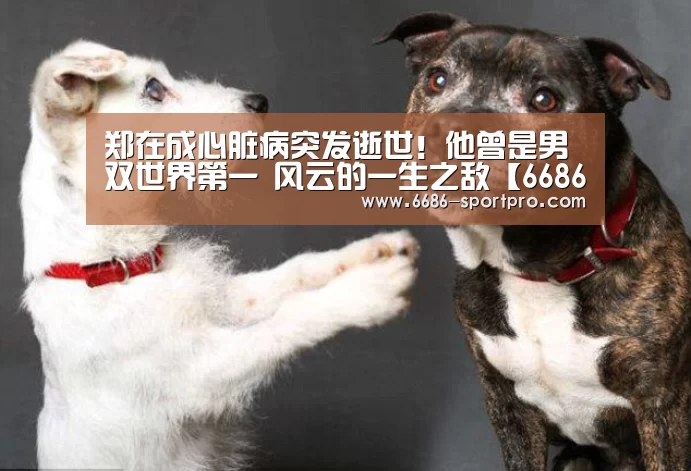 郑在成心脏病突发逝世!他曾是男双世界第一 风云的一生之敌【6686登录入口】(图2) 6686登录入口