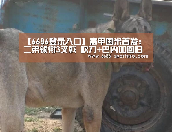 【6686登录入口】意甲国米首发:二弟领衔3叉戟 砍刀+巴内加回归(图3) 6686体育
